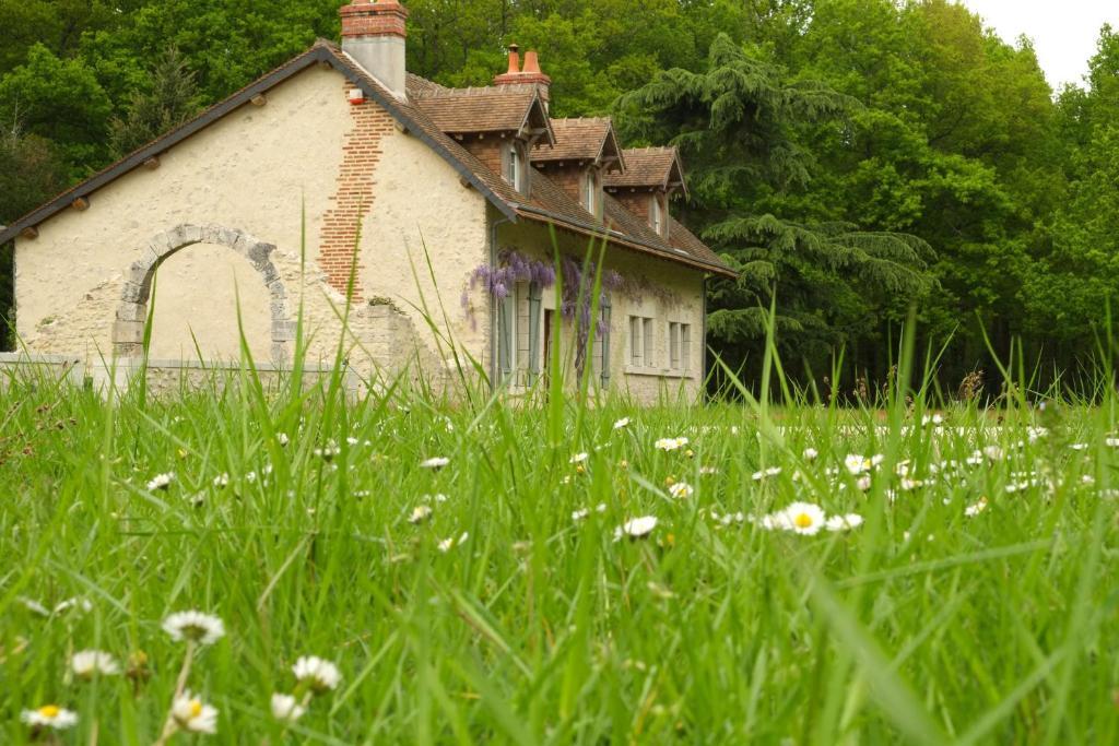 Chambre D'Hotes Domaine De La Pepiniere Bed & Breakfast Chouzy-sur-Cisse Bagian luar foto